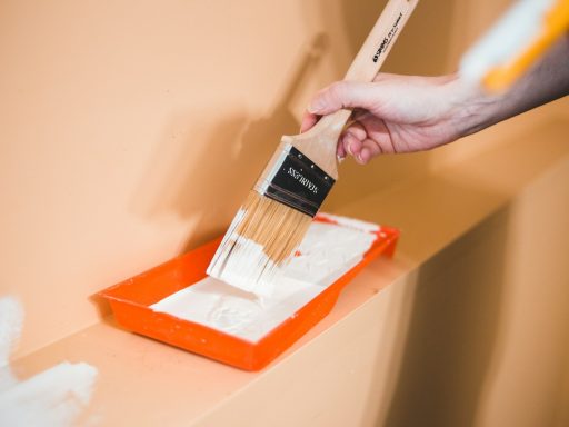 person holding white and black box