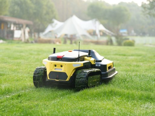Robot lawnmower cuts grass in a backyard