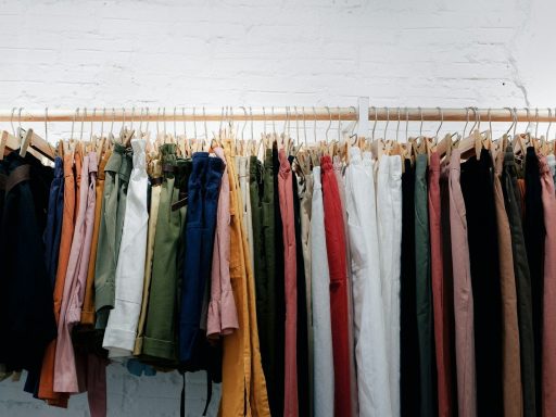 assorted-color clothes lot hanging on wooden wall rack