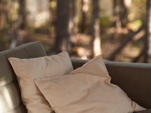 a couch with two pillows on top of it