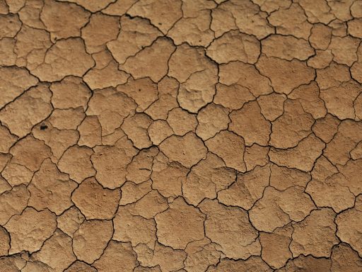 Droge voeten met barstjes in de hakken die behandeling nodig hebben